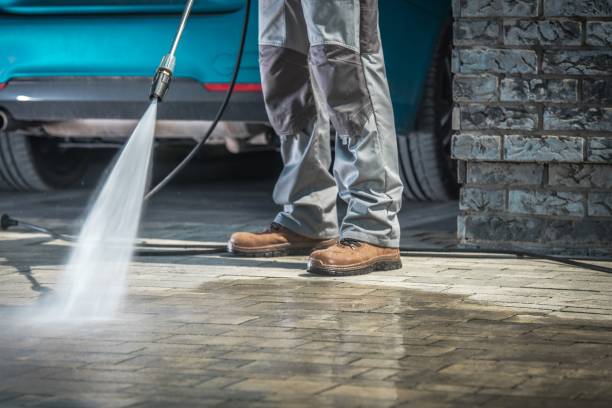 Best Sidewalk and Walkway Cleaning  in Bigfoot, TX